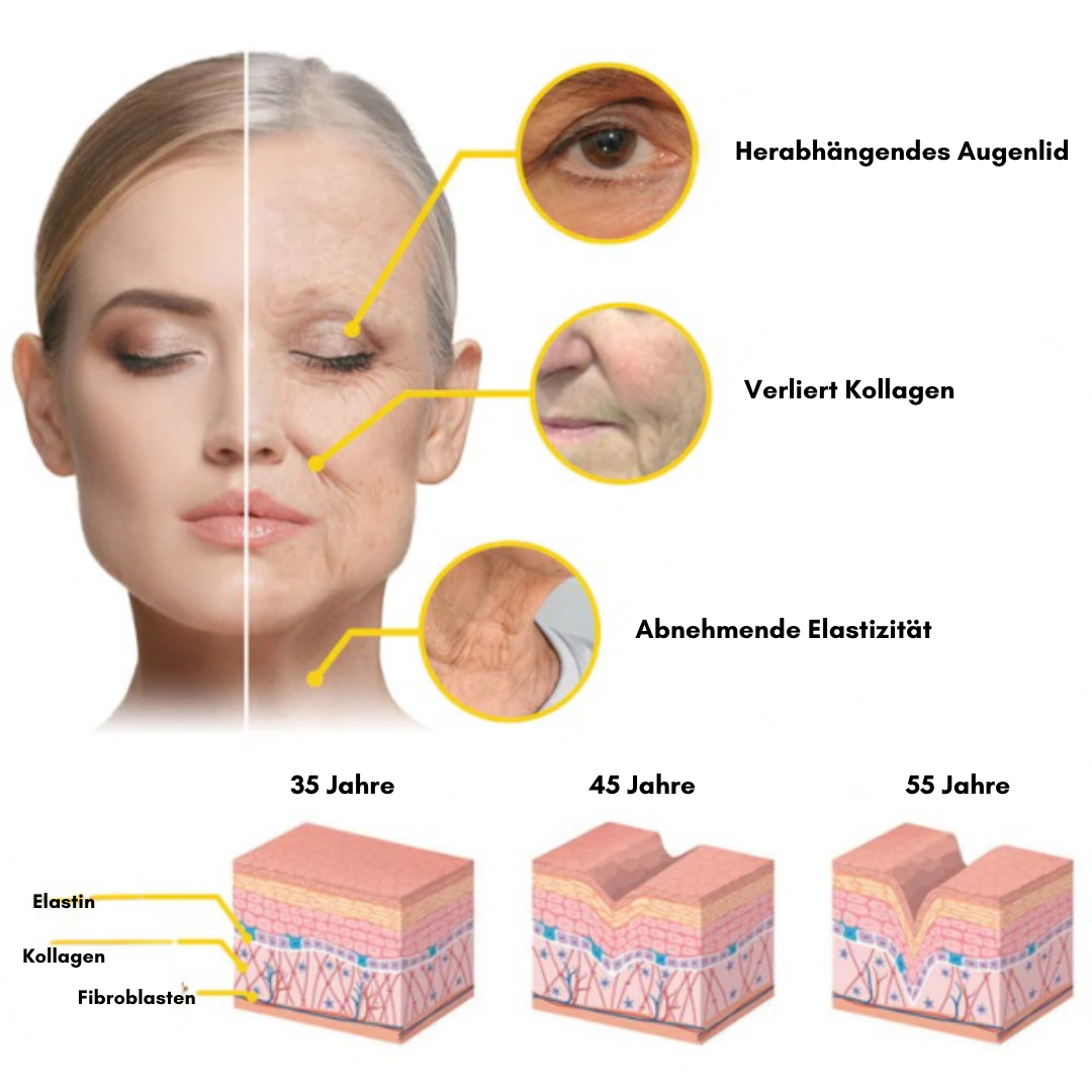 VitalBee™ Anti-Falten-Gesichts serum (1+1 GRATIS)