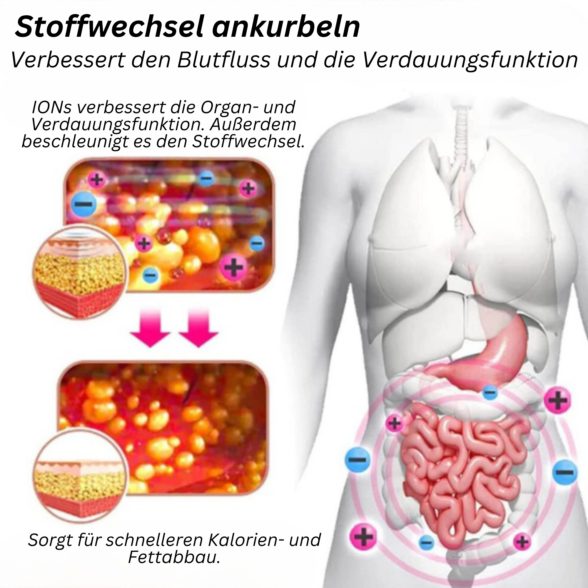 FlexiFit™️ I Bauchformende Höschen