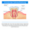 LANTHOME™ Essenz zur Zahnaufhellung (1+1 GRATIS)