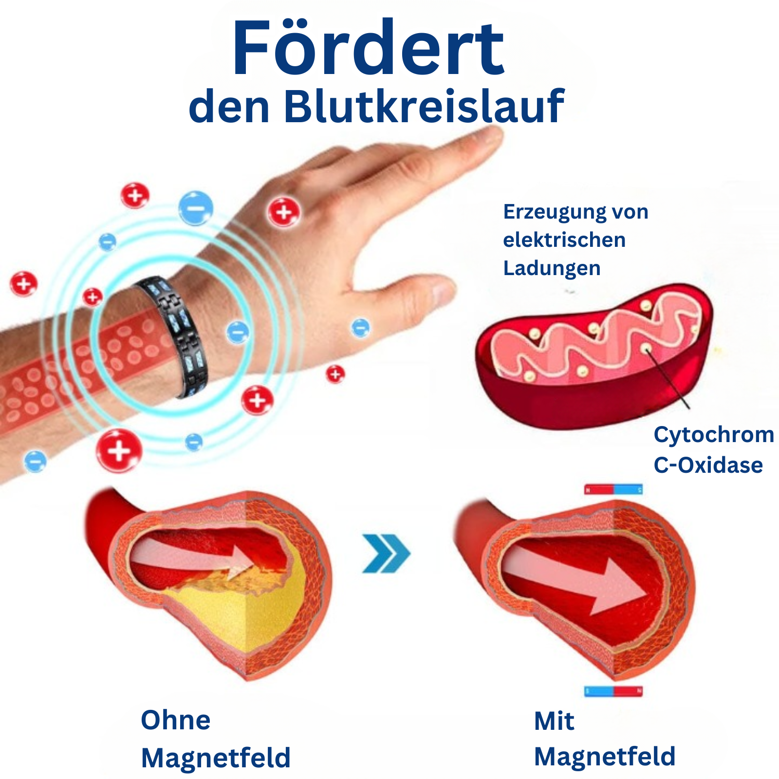 SlimBrace™ - Magnetarmband aus Titan